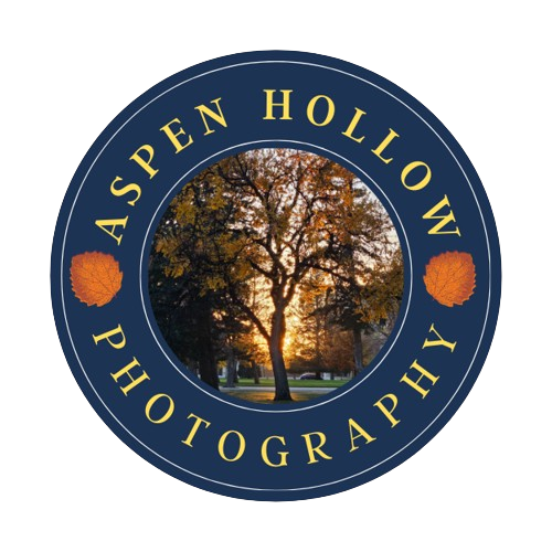 Aspen Hollow Photography